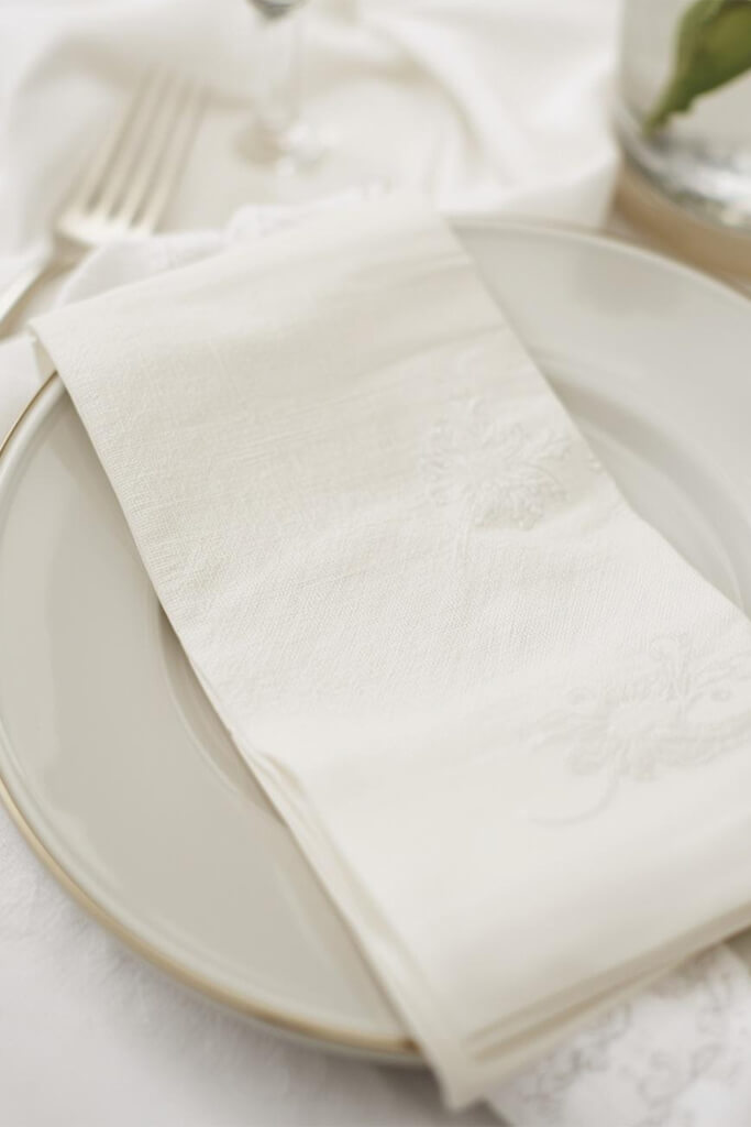 Napkin-02